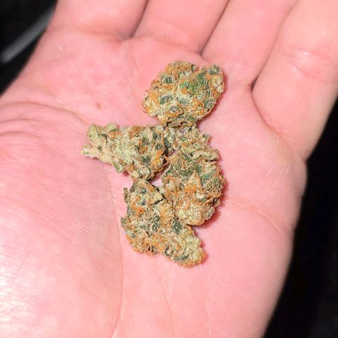 Grand Daddy Purple 🌌 growlog timeline photo