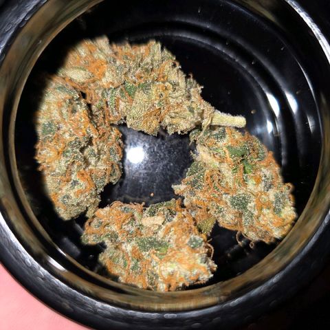 Grand Daddy Purple 🌌 growlog timeline photo