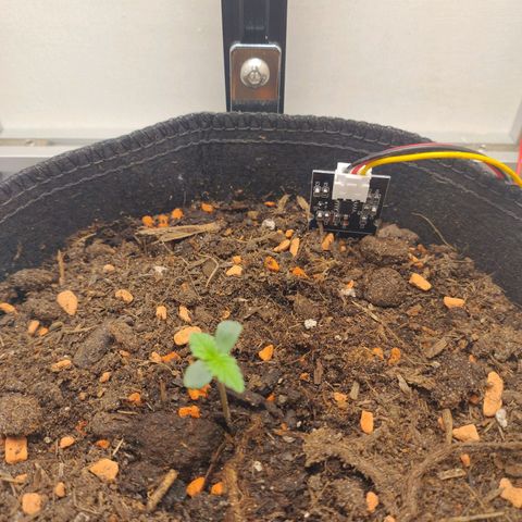 Wiki growlog timeline photo