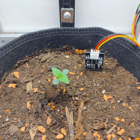 Wiki growlog timeline photo