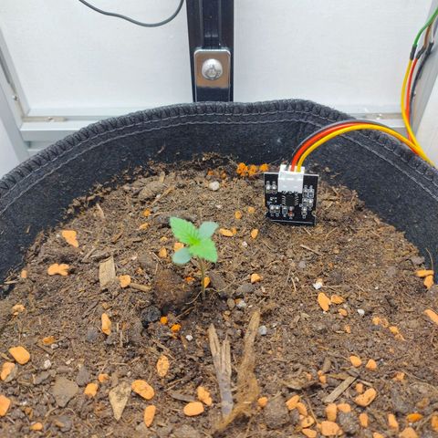 Wiki growlog timeline photo