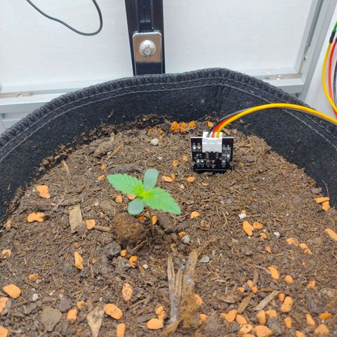 Wiki growlog timeline photo