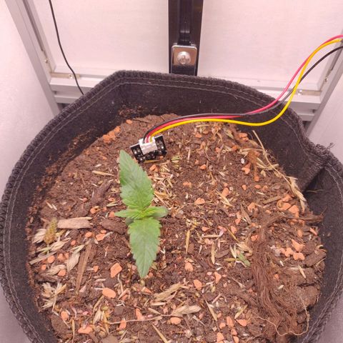 Wiki growlog timeline photo
