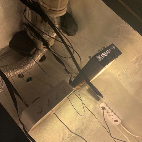 Gorila growlog photo:  
REGA 
LIMPEZA
RETIRADA DAS AMARRAS 

reta final da vegetação preparativos para a flora vim FORTEE 🔥