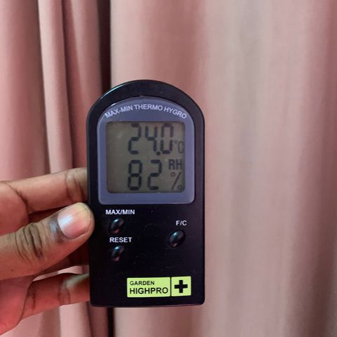 Gorila growlog timeline photo