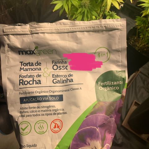 Gorila growlog photo: Teremos uma colheita feliz ❤️