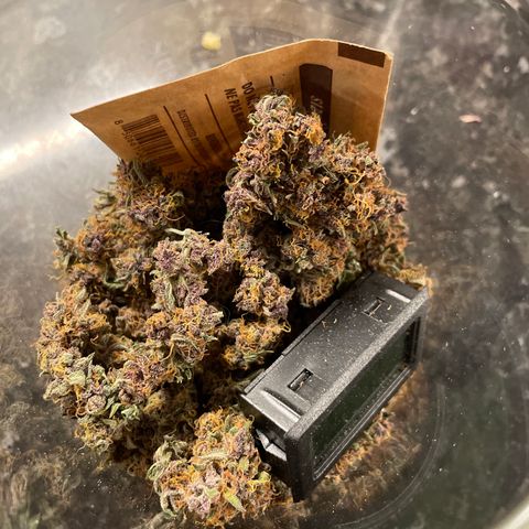 Auto Critical Orange Punch growlog timeline photo