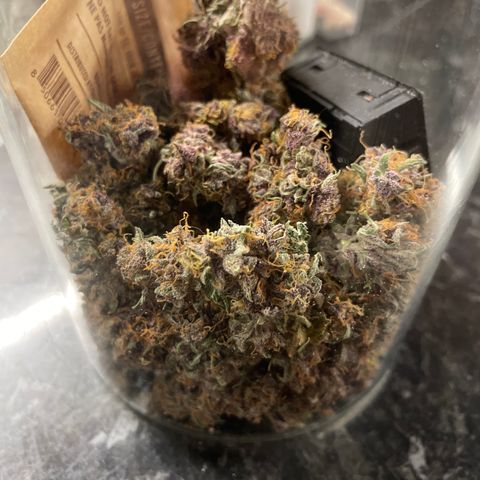 Auto Critical Orange Punch growlog timeline photo