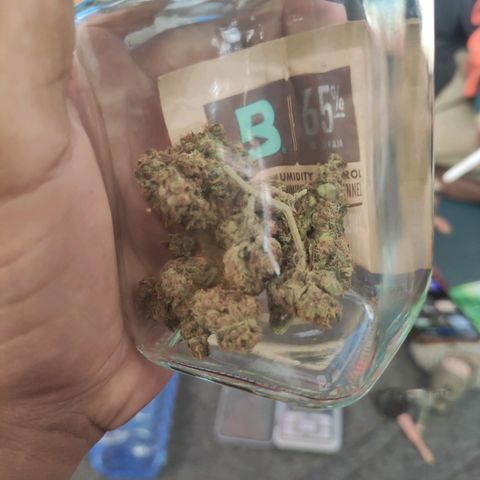 BCN Critical XXL growlog timeline photo