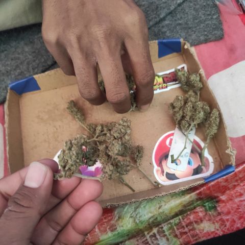 BCN Critical XXL growlog timeline photo