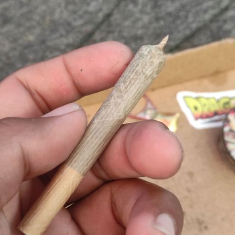 BCN Critical XXL growlog timeline photo