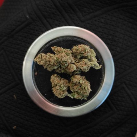 BCN Critical XXL growlog timeline photo
