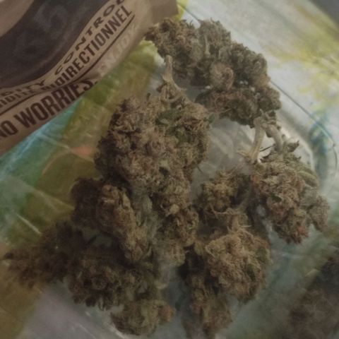 BCN Critical XXL growlog timeline photo
