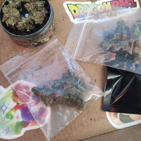 BCN Critical XXL growlog timeline photo