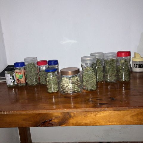 White Widow growlog timeline photo