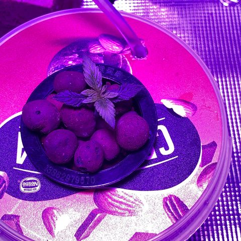 Auto Northern Lights growlog timeline photo