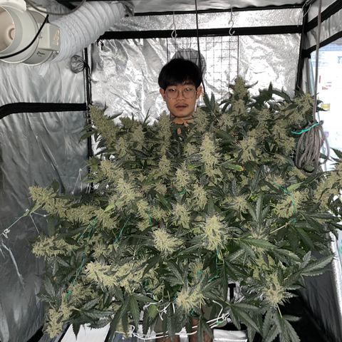 Moby dick XXL  [auto] growlog timeline photo