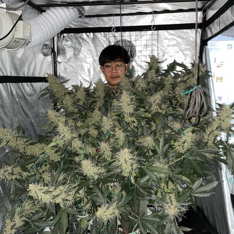 Moby dick XXL  [auto] growlog timeline photo