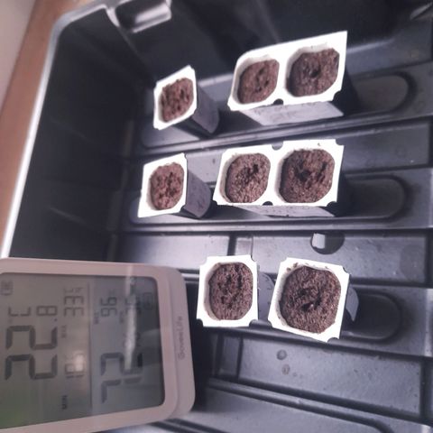 AMG growlog timeline photo