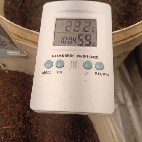 Acai Mints growlog timeline photo