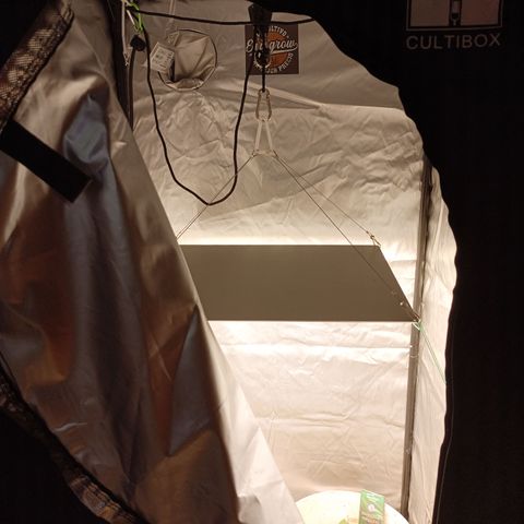 Acai Mints growlog timeline photo