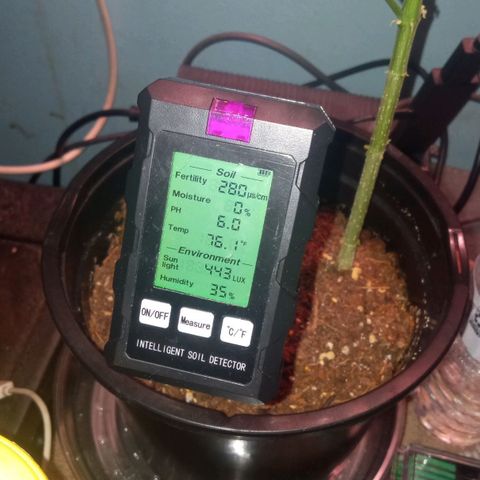Sweet Gelato Auto growlog timeline photo