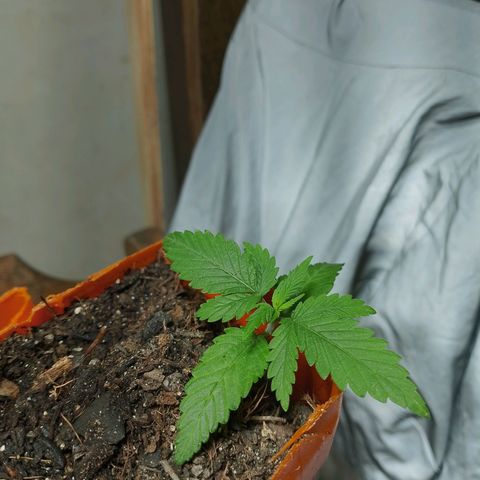 Cleide e Cláudia  growlog timeline photo