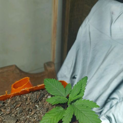 Cleide e Cláudia  growlog timeline photo