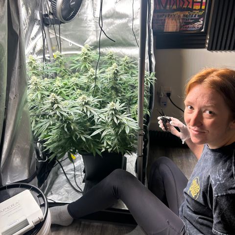 Kona Kush  growlog timeline photo