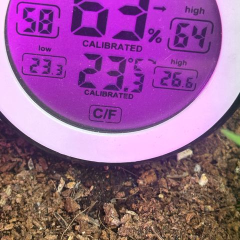 Moby dick & Frisian Dew growlog timeline photo