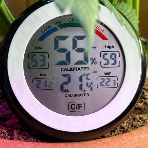 Moby dick & Frisian Dew growlog photo: Moby