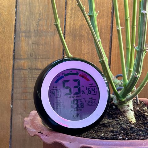 Moby dick & Frisian Dew growlog photo: Moby