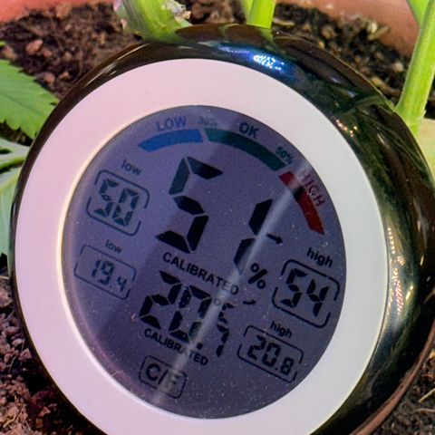 Moby dick & Frisian Dew growlog photo: Moby