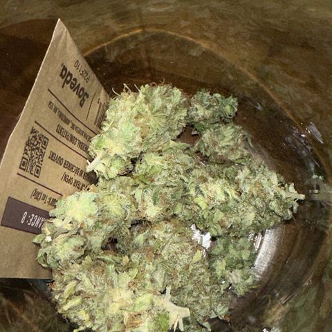 Moby dick & Frisian Dew growlog photo: Moby