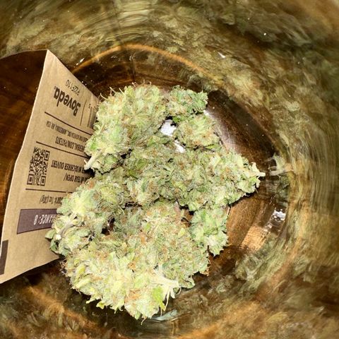 Moby dick & Frisian Dew growlog photo: Moby