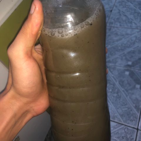 Natural growlog timeline photo