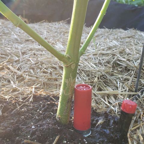 Super Skunk growlog timeline photo