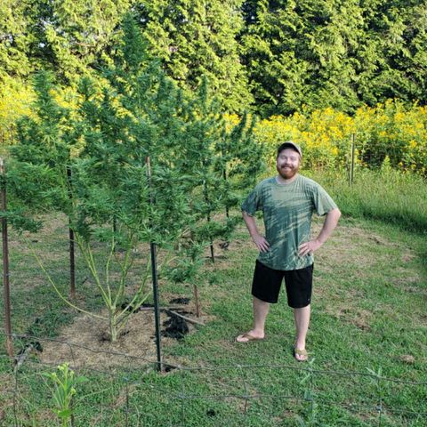 Super Skunk growlog timeline photo
