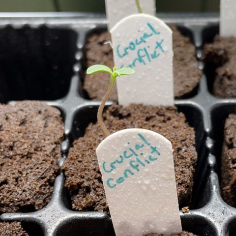 Crucial Conflict growlog timeline photo