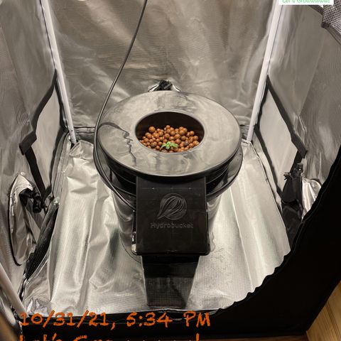 Critical 47 auto fem growlog photo: Goin in her forever home!