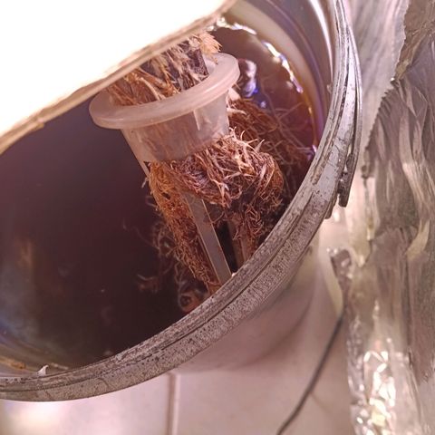 Gran leño growlog timeline photo
