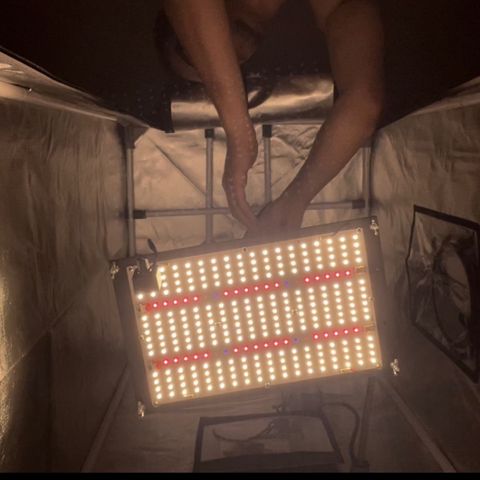 AG Fast Version #1 growlog timeline photo