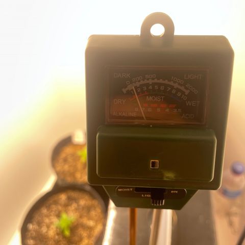 PK #1 growlog timeline photo