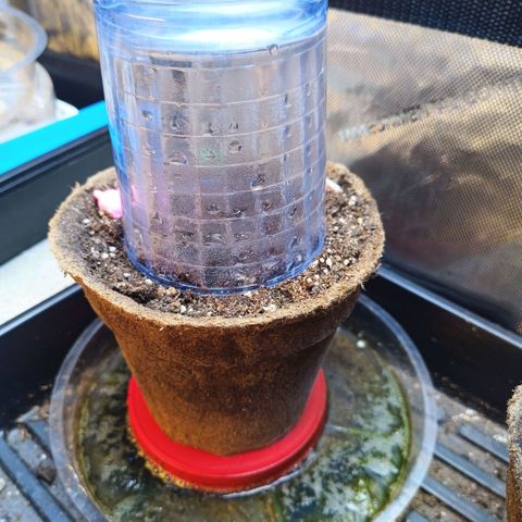 Auto GDP growlog timeline photo