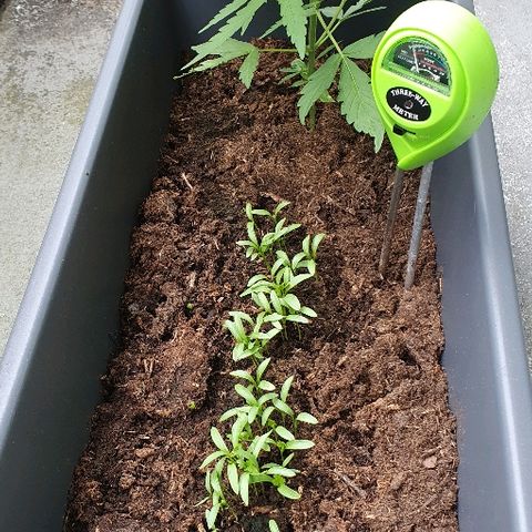 First growlog timeline photo