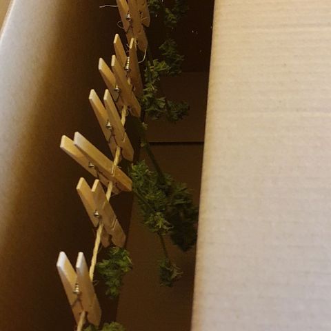 First growlog photo: Ze hangen!