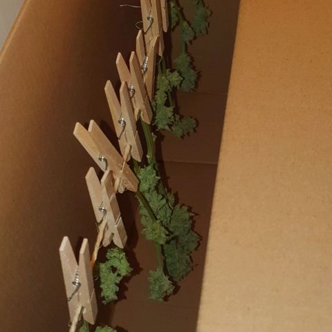 First growlog photo: Ze hangen!