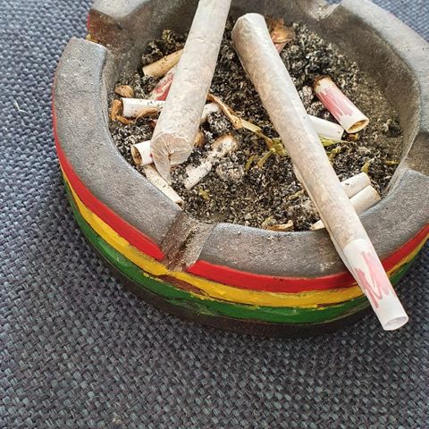 First growlog photo: Eerste joint 