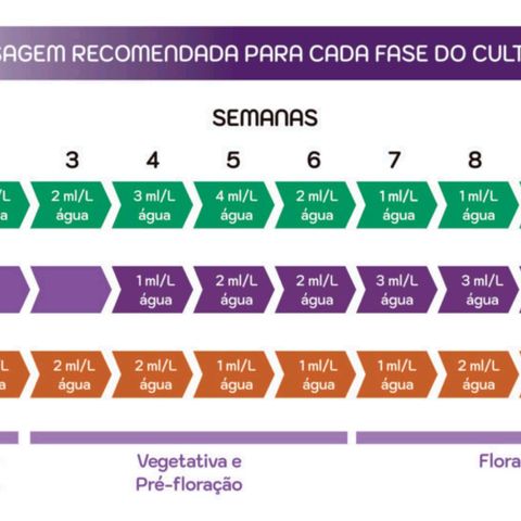 Mari Joana growlog timeline photo