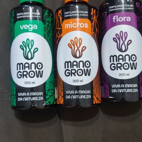 Mari Joana growlog timeline photo